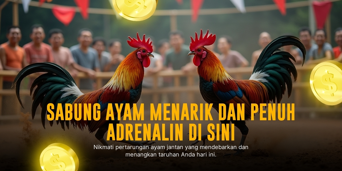 Mengenal Keunggulan Ayam Bangkok dalam Sabung Ayam SV388