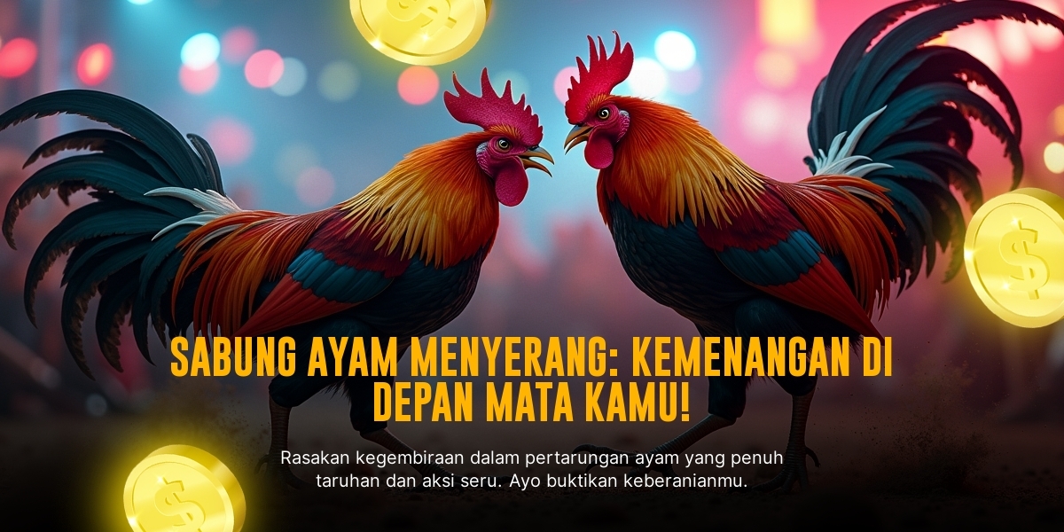 Mengenal Ayam Bangkok Asli dalam Sabung Ayam SV388