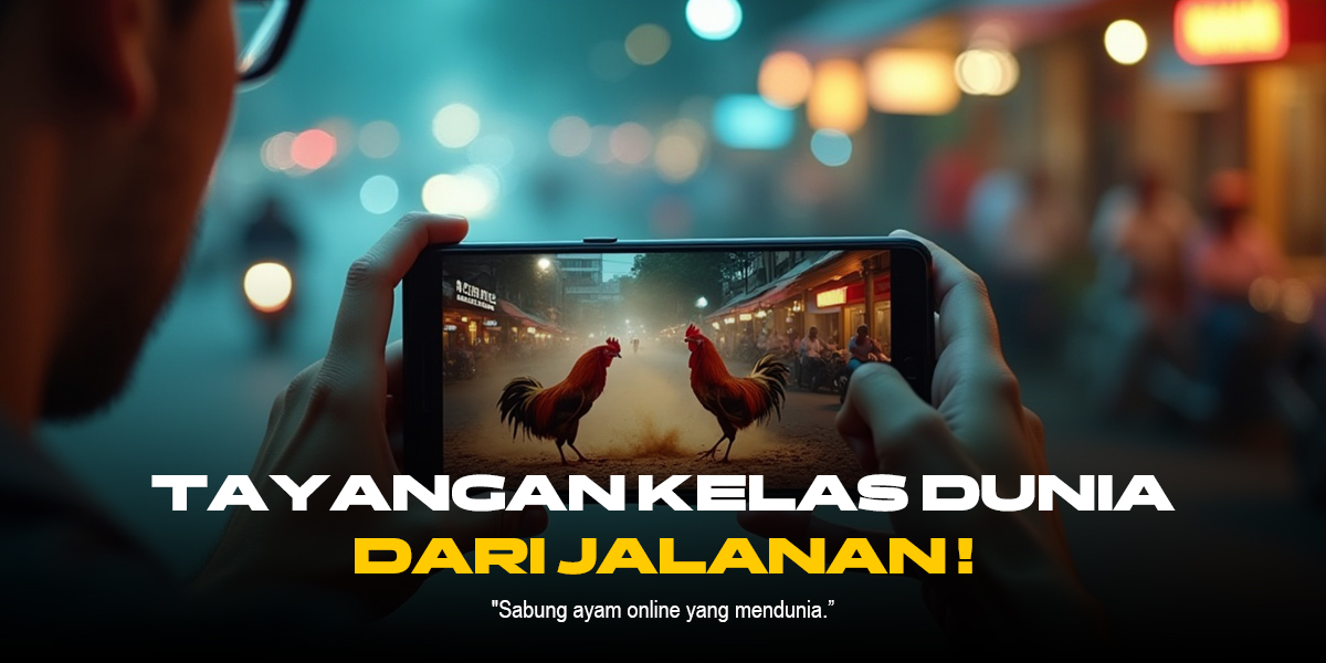 Mengenal Ayam Bangkok: Raja Sabung Ayam Paling Populer