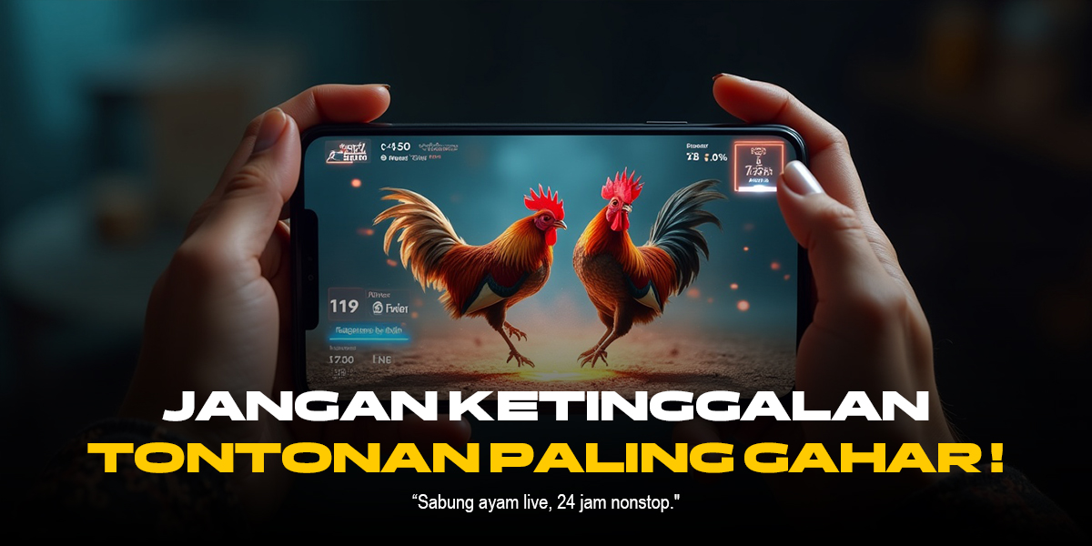 Rahasia Sabung Ayam SV388: Kenali Jenis Ayam Aduan dan Odds Terbaik